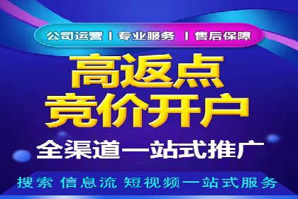 竞价托管服务对比：不同平台的优劣分析